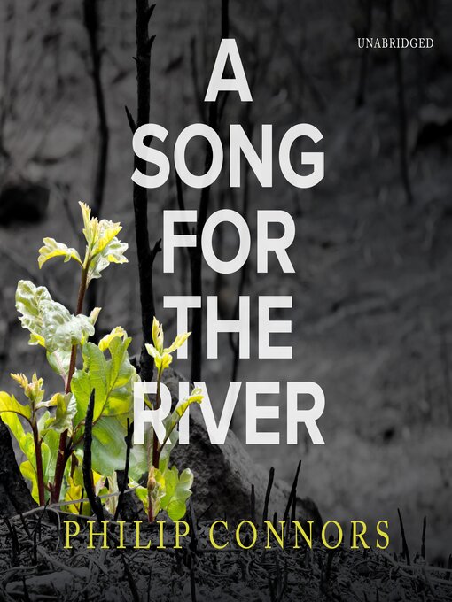 Cover image for A Song for the River